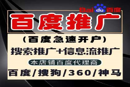 百度推广公司案例研究：揭秘企业快速崛起的秘密